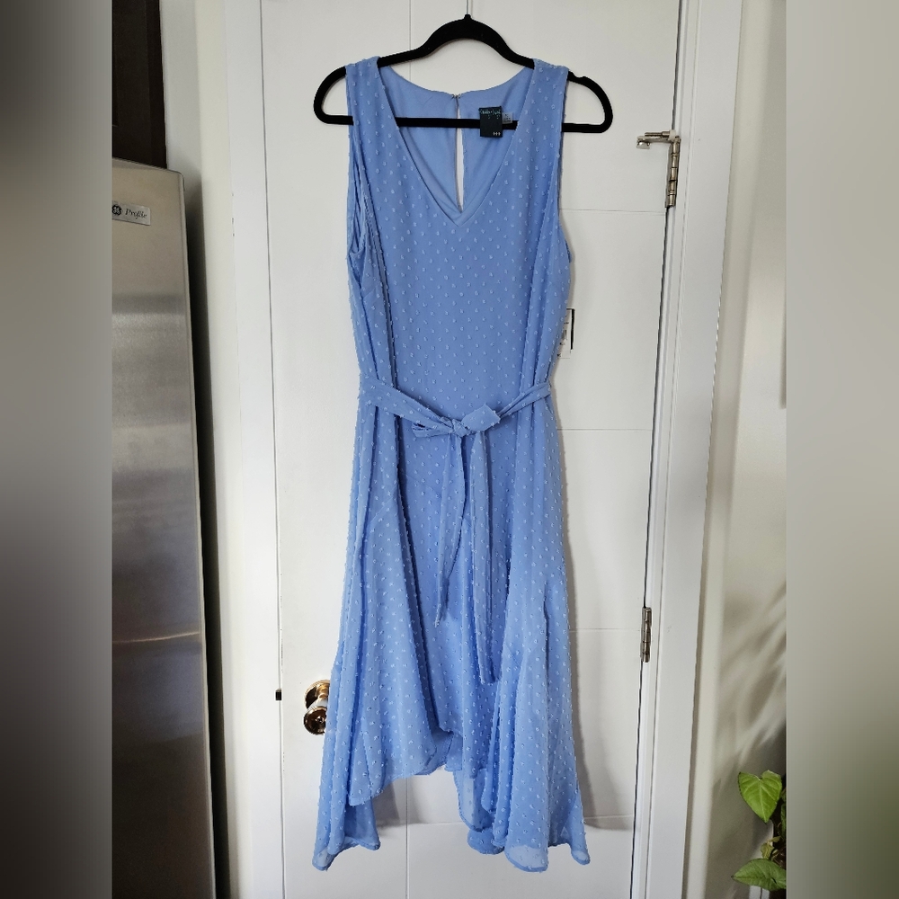 Gabby Skye sleeveless dress